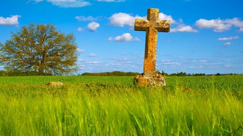 Eglise-Ecologie