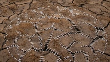 Humanidades ecológicas (2)