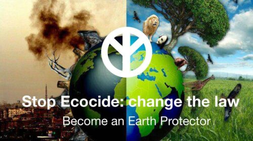 ecocide_social_media