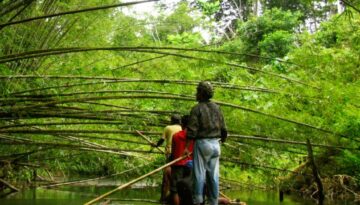 Philippines-riverbamboo-Territories of Life (2)