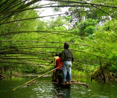Philippines-riverbamboo-Territories of Life (2)