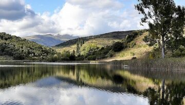 llac montcortés