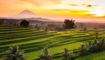 Jatiluwih-Rice-Terrace Jatiluwih-Rice-Terrace