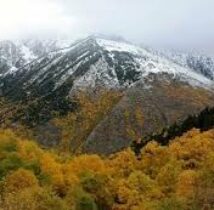 Alt Pirineu Alt Pirineu