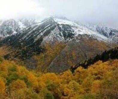 Alt Pirineu