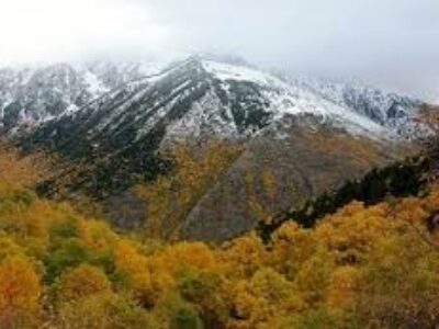 Alt Pirineu Alt Pirineu