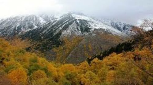 Alt Pirineu