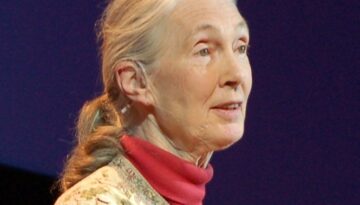 Jane Goodall