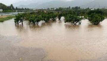 inundacio Terres Ebre