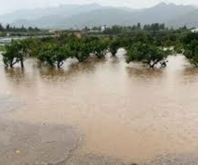 inundacio Terres Ebre inundacio Terres Ebre