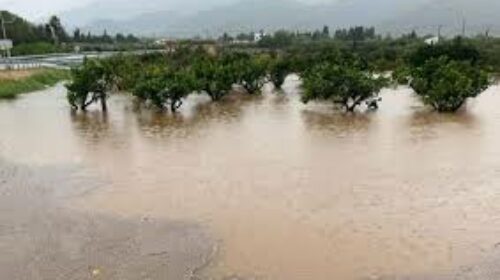inundacio Terres Ebre inundacio Terres Ebre