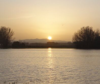Planes d'inundació al curs baix del Fluvià