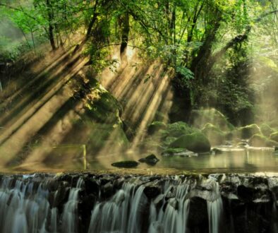 river-rocks-Photo-by-Lukas-from-Pexels-768x510