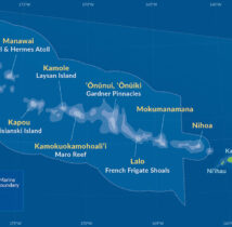 pmnm_dark_blue_map_hwn_eng_final_wcc_cs6