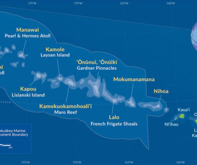 pmnm_dark_blue_map_hwn_eng_final_wcc_cs6