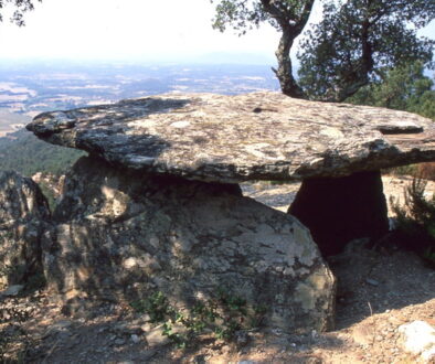 Dolmen de galeria catalana