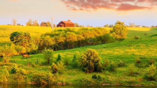 Kentucky